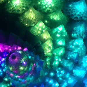 Meet your Posher, Patricia